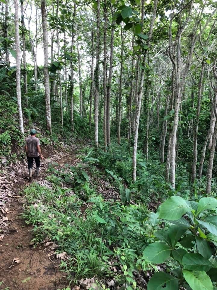 Productos sostenibles